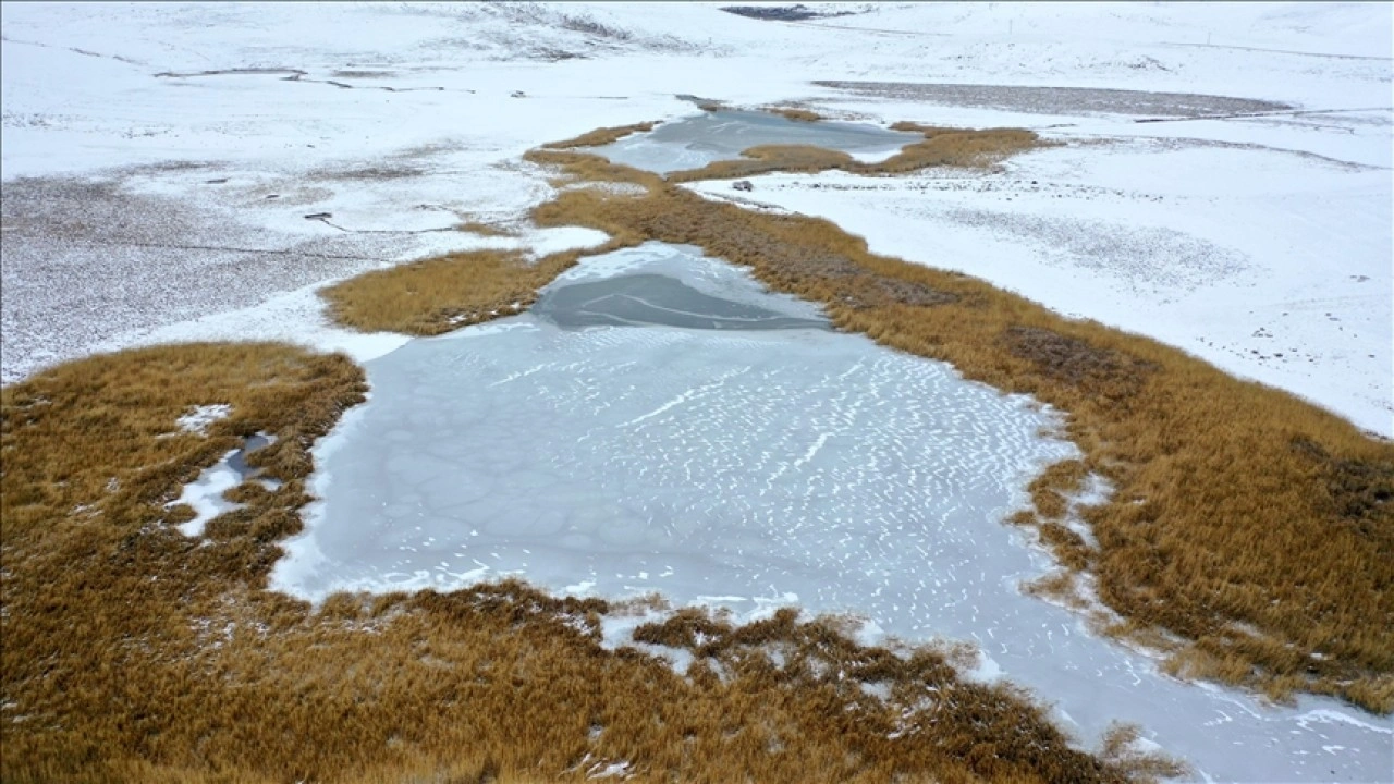 Kars'taki tescilli Lavaş G&ouml;l&uuml;'n&uuml;n y&uuml;zeyi dondu