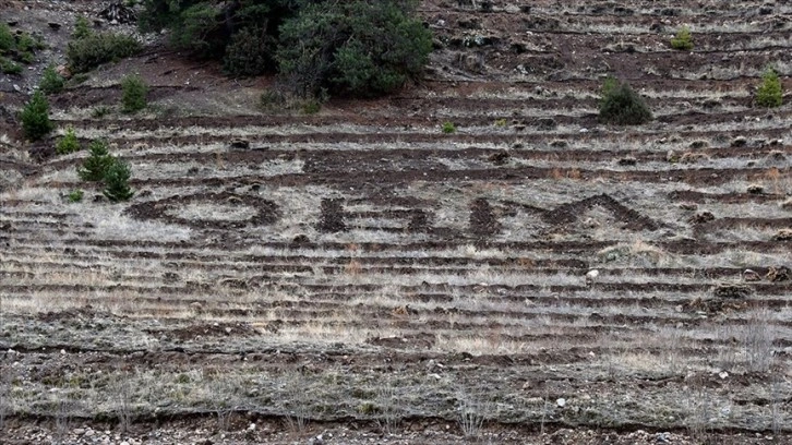 Kars'ta 20 hektarlık alanda oluşturulan 