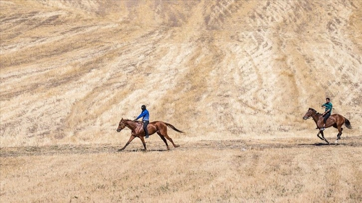 Kars'ta 'geleneksel at yarışı' düzenlendi