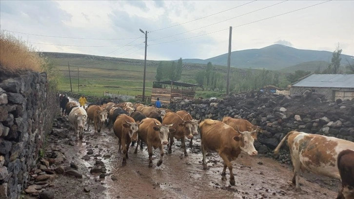 Kars'ta yağış taşkınlara sebep oldu