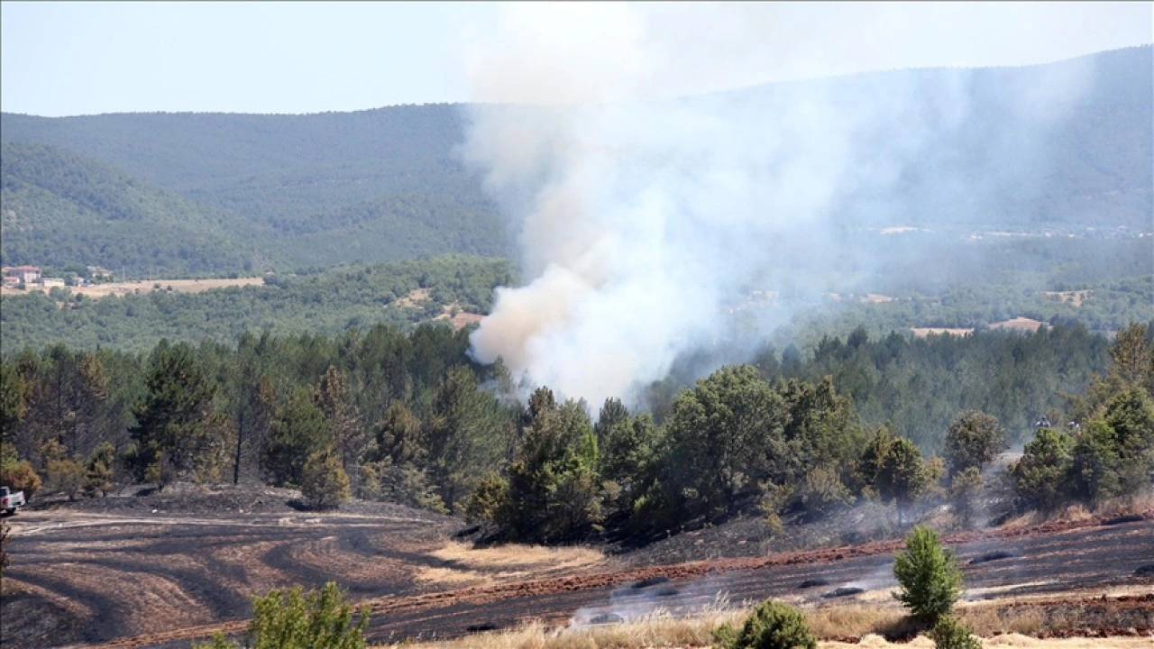 Kastamonu'da tarım arazisinde başlayan yangın ormana sıçradı