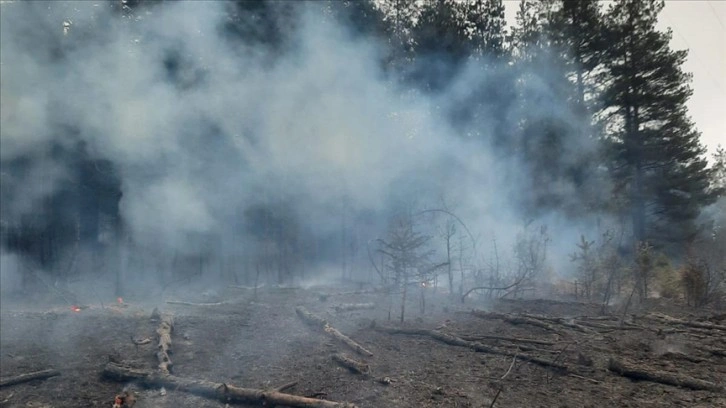 Kastamonu'da enerji nakil hattından sıçrayan kıvılcım ormanda yangına sebep oldu