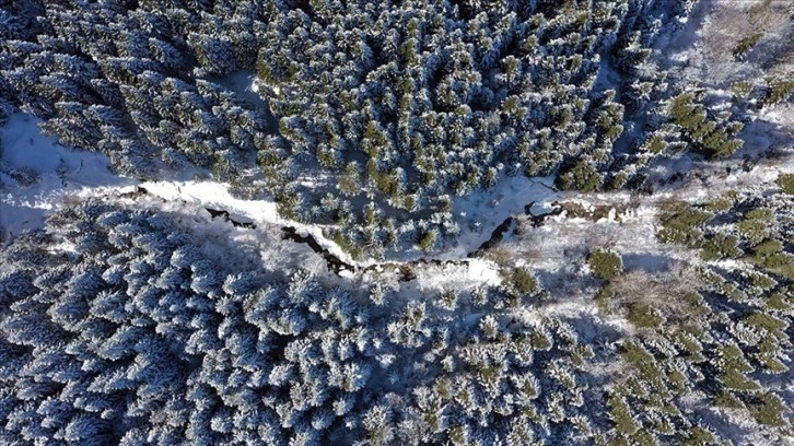 Kastamonu'nun karla kaplı ormanları havadan görüntülendi