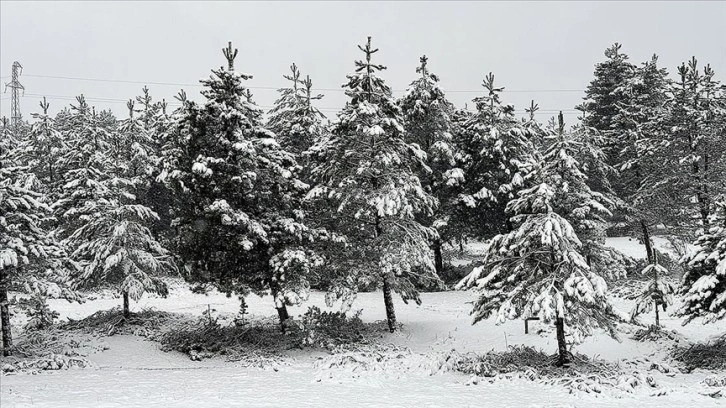 Kastamonu'nun yüksek kesimlerinde kar etkili oluyor