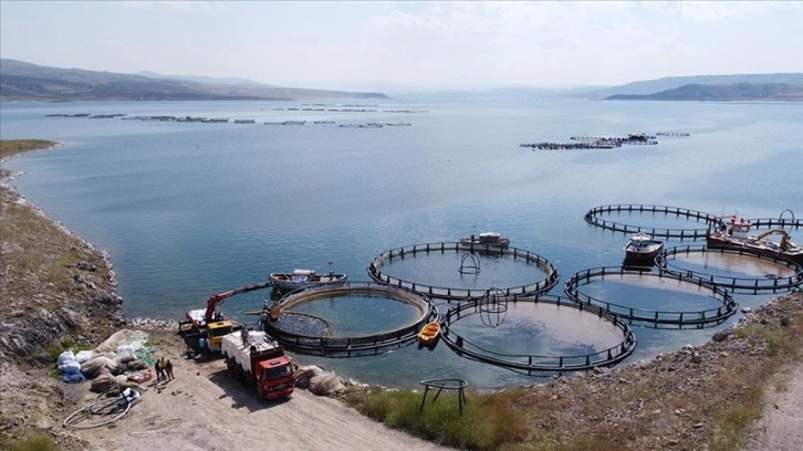 Kayseri’den balık ihracatıyla Türk ekonomisine 30 milyon dolarlık katkı