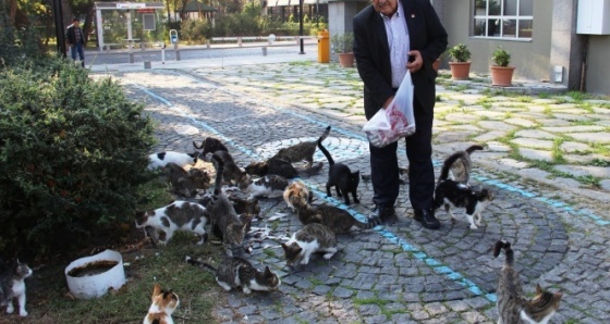 'Kedi bölüğü' sabah içtimasında