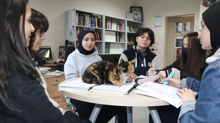 Kedi 'Merkür' lise öğrencilerinin yakın arkadaşı oldu