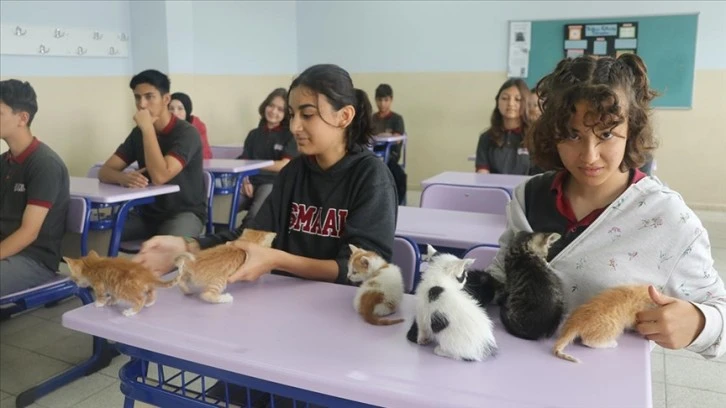 Kedi 'Sütlaç' ve yavruları lisenin yeni üyeleri oldu