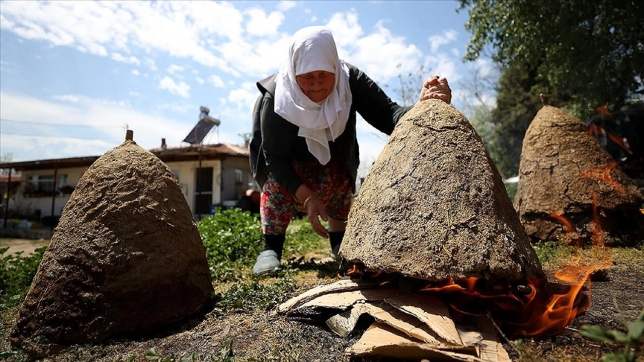Kırklareli'nde arıcıların "oğul alma" mesaisi başladı