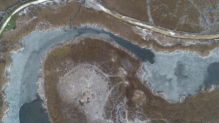 Kırklareli'nde longoz ormanlarındaki göller buz tuttu