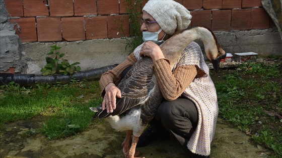 'Kirli' ile sahibinin kurduğu bağ şaşırtıyor