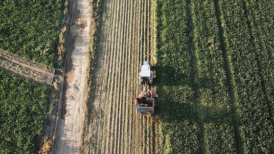 Kırsal kalkınmaya bugüne kadar 26,5 milyar liralık hibe verildi