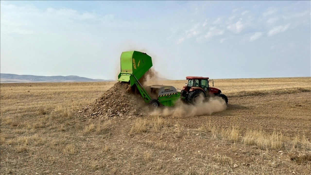 Kırşehir'de verimi artırmak amacıyla tarlalardaki taşlar toplanıyor