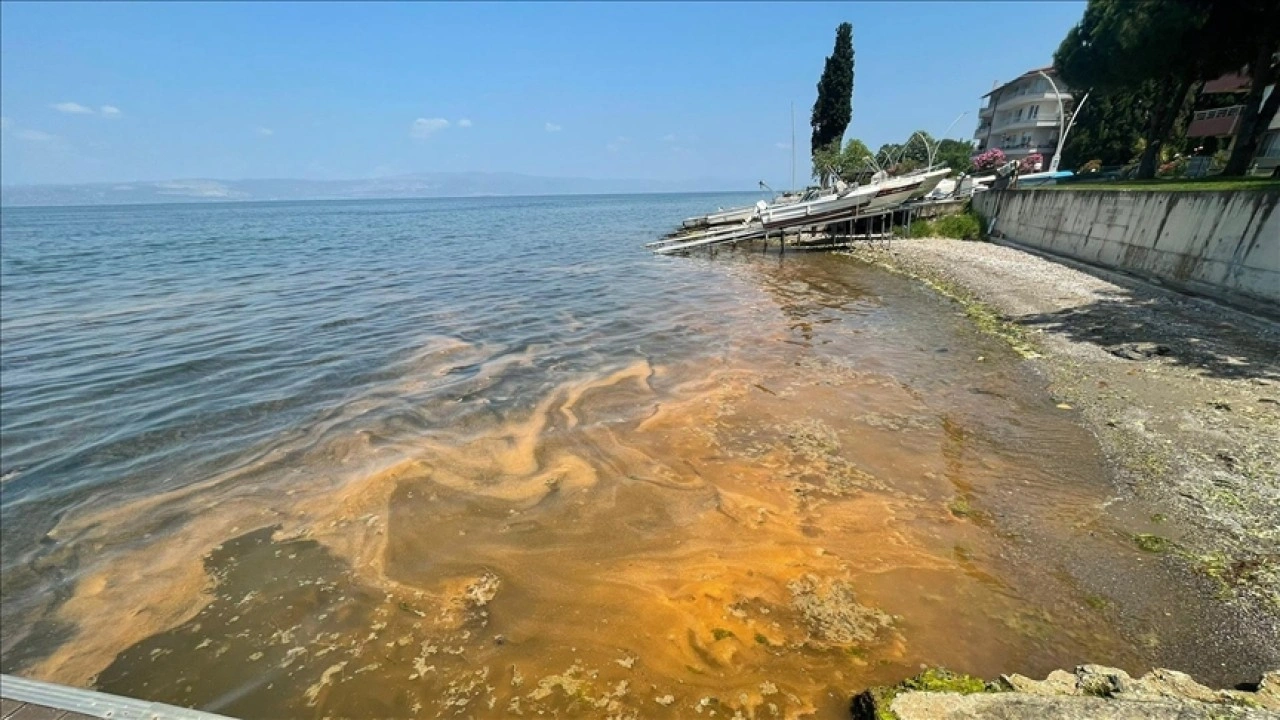 Kocaeli'de denizin kıyısı turuncuya büründü