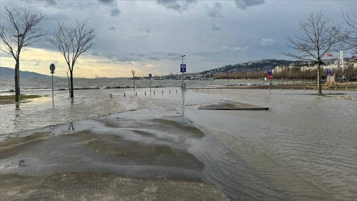 Kocaeli'de fırtına nedeniyle deniz taştı, otomobillerin üzerine ağaç devrildi
