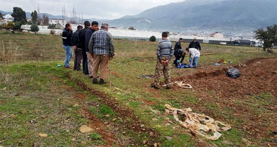 Kocasını dostuna öldürtüp timsah gözyaşları döktü