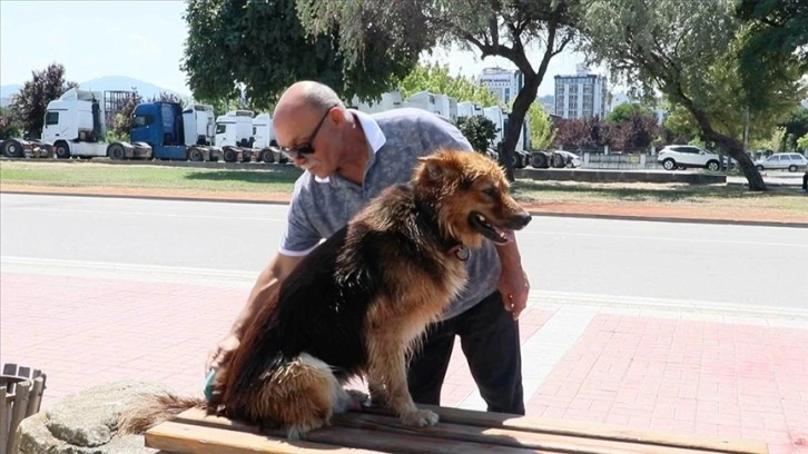 Köpek 'Dost'un ünü kafenin önüne geçti