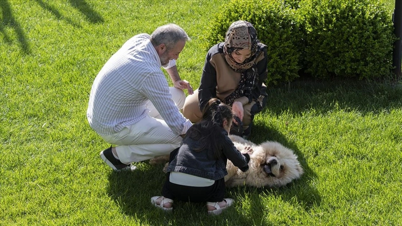 Koruyucu ailelikte öncülük yaptı, onlarca çocuğun yuvasına köprü kurdu