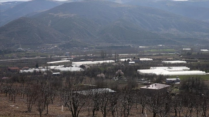 Köydeki sera üretimi 23 yılda 500 metrekareden 400 dekara çıktı