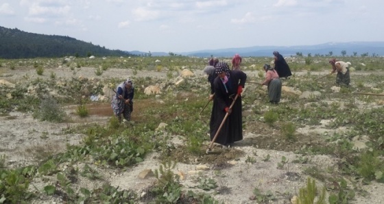 Köylü kadınlara ek gelir kapısı