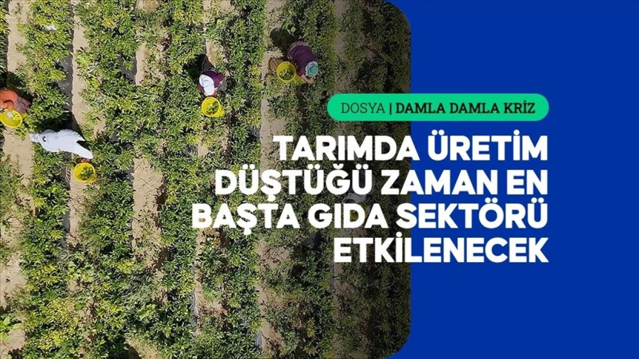 Kuraklığın etkileri tarladan fabrikaya, fabrikadan sofraya uzanıyor
