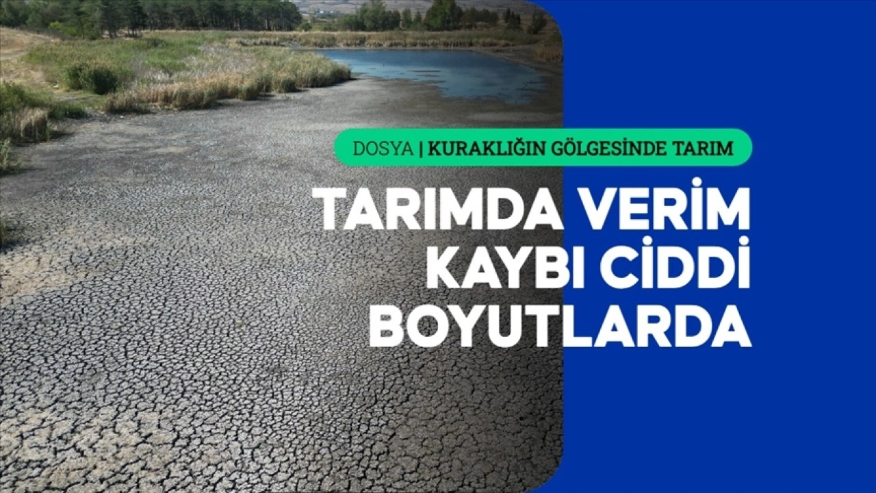 Kuraklık bu yıl birçok ürünü etkiledi