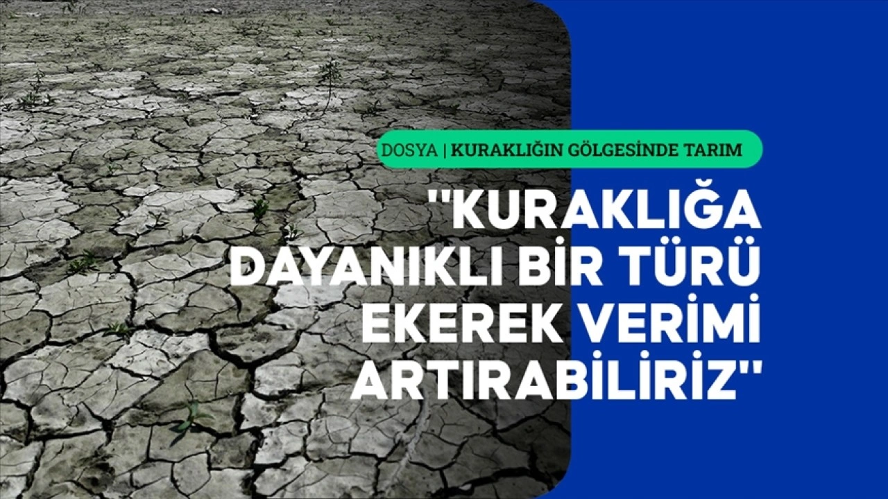 Kuraklıkla mücadelede çiftçinin bilgilendirilmesi önemli rol oynuyor