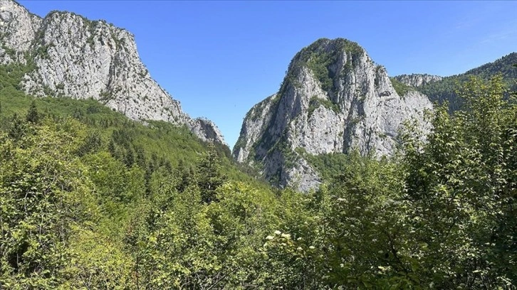 Küre Dağları'na ilkbaharın renkleri hakim oldu