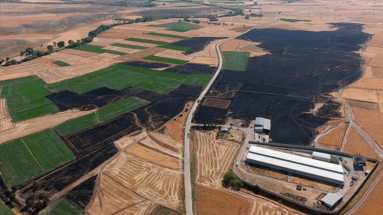 Kütahya'da yangın çıkan yaklaşık 800 dekar ekili alan zarar gördü