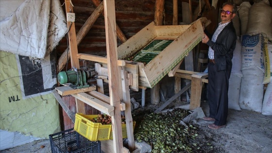 Kütahyalı marangoz ahşaptan susuz ceviz soyma makinesi icat etti
