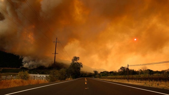 Kuzey Kaliforniya'daki yangınlar büyüyor