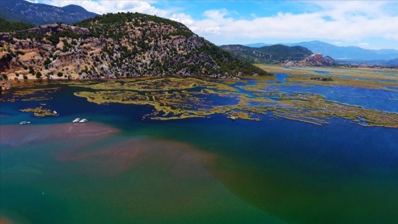 Labirent görünümlü Dalyan sazlıkları misafirlerini yine eşsiz bir yolculuğa çıkaracak