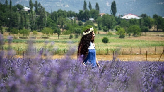 Lavanta bahçeleri fotoğrafçılara doğal stüdyo oldu