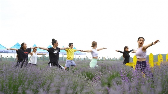 Lavantalar arasında yoga yaparak güne başladılar