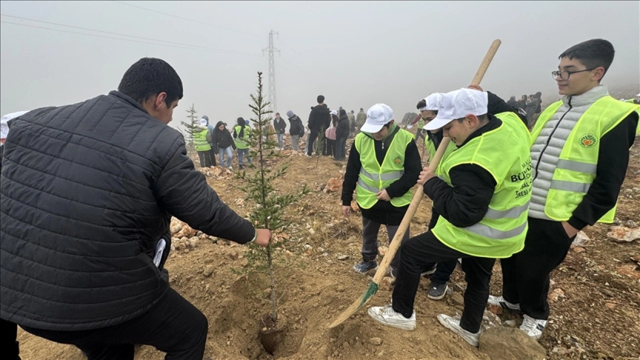 Malatya'da 10 bin 444 fidan toprakla buluşturuldu