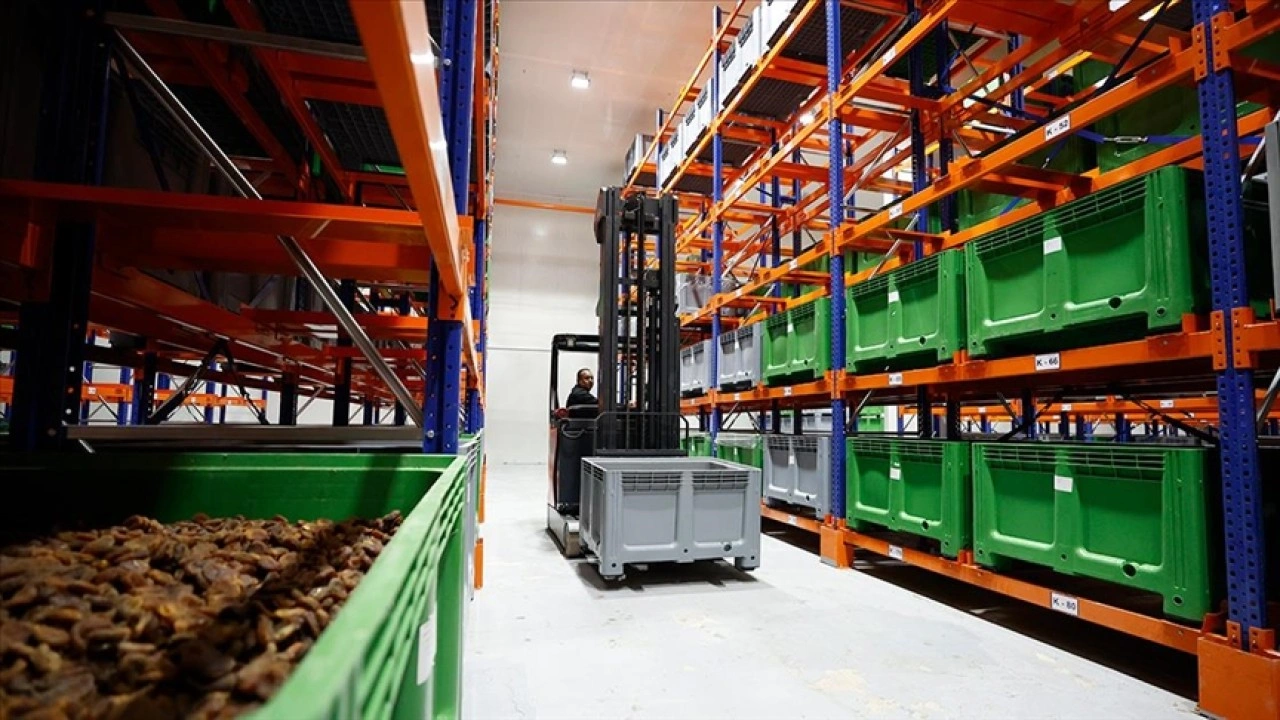 Malatya kayısısı lisanslı depo sayesinde dünya pazarındaki yerini korudu