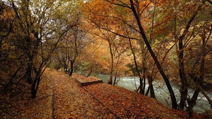 Malatya'daki Tohma Kanyonu'na sonbaharın renkleri hakim oldu