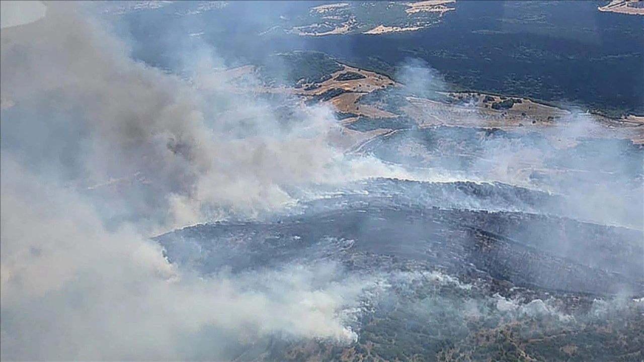 Manisa'nın Kula ilçesindeki orman yangınına müdahale ediliyor