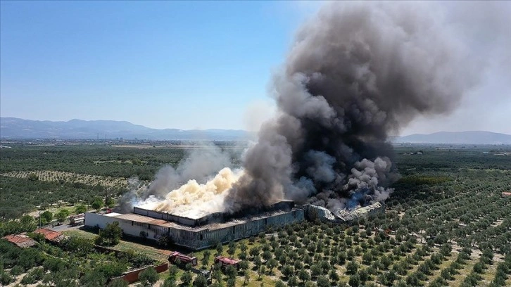 Manisa'da orman ürünleri fabrikasında çıkan yangına müdahale ediliyor