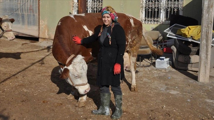 Mardinli ev kadını Çiftçi Destek Kredisi ile besici oldu