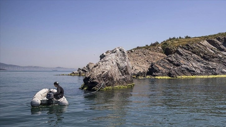 Marmara Denizi müsilaj öncesine döndü