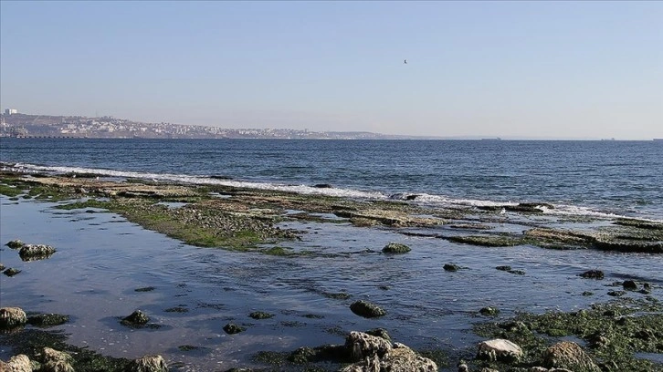 Marmara Denizi'ndeki çekilme meteorolojik bir durum