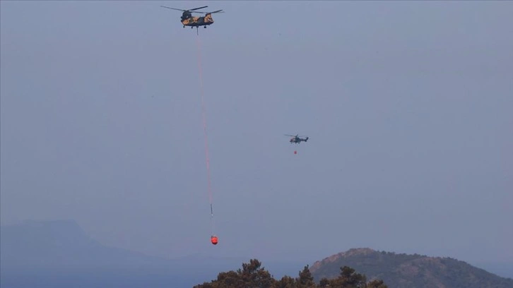 Marmaris'teki orman yangınının faili polis ve jandarmanın detaylı çalışması sonucu yakalandı