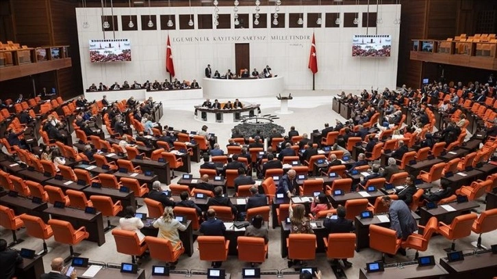 Meclis parlamenter diplomasi ile dış politikada da etkin