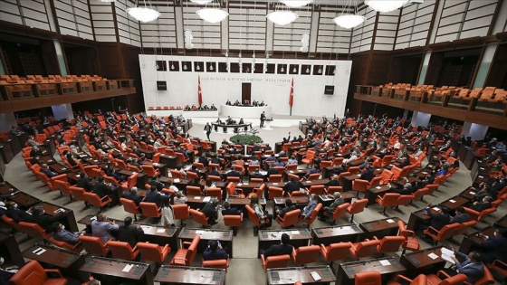 Meclis Yunanistan'daki Türk azınlığın sorunlarını inceledi