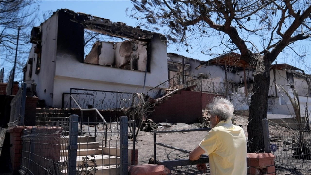 Menderes ve Seferihisar'da yanan ormanlardan geriye siyah örtü kaldı