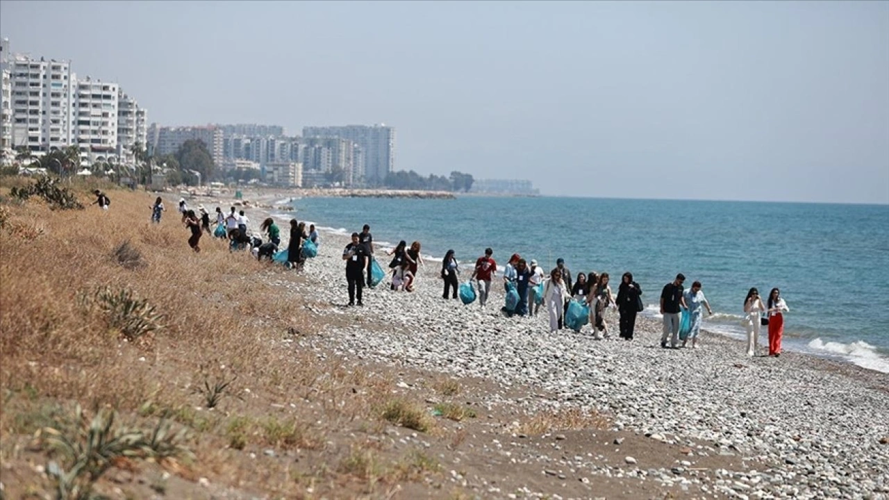 Mersin'de öğrenciler deniz kaplumbağalarının yuvalama alanlarını temizledi
