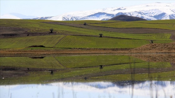 Mersin ve Sivas'ta bazı bölgeler 'kesin korunacak hassas alan' ilan edildi