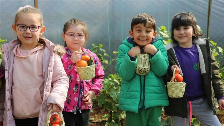 Mersin'de kreş öğrencileri yetiştirdikleri sebzelerin hasadını yaptı