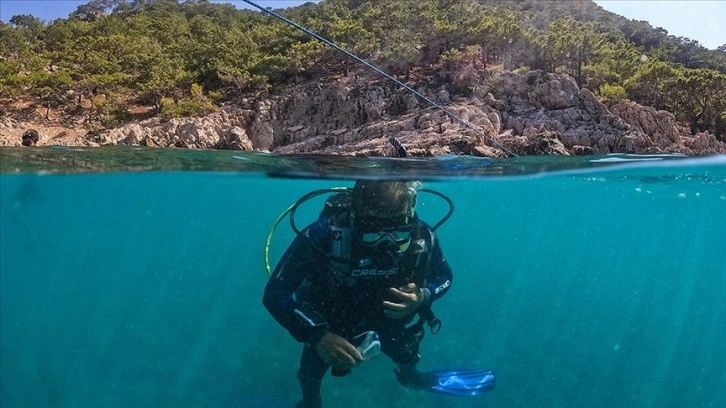 Mersin'deki Dana Adası'nda dalış turizmi yaygınlaşıyor